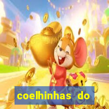 coelhinhas do brasil recife